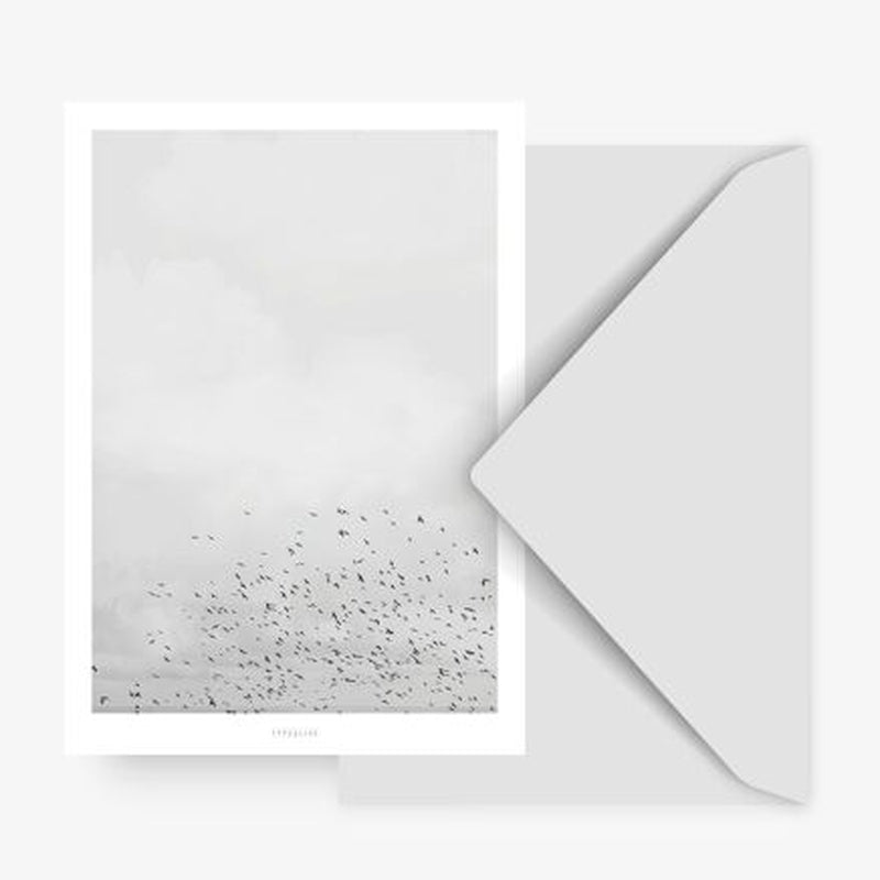 Kaart Vogels | Zonder Envelop
