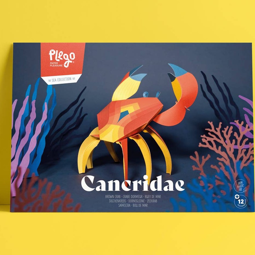 Plego Vouwfiguur Zee