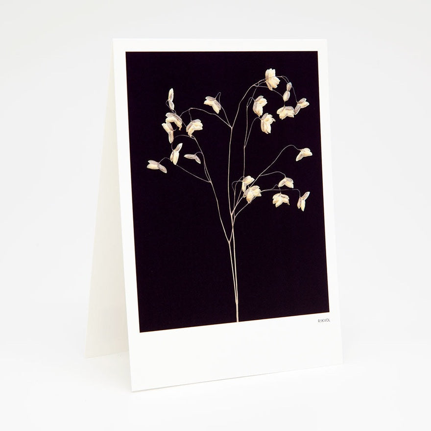 Kaart Grasses 01 | Black Edition