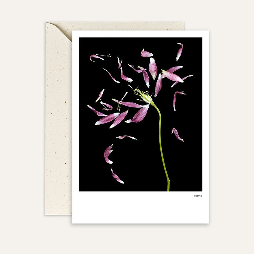 Kaart Black Edition PetalLove 03