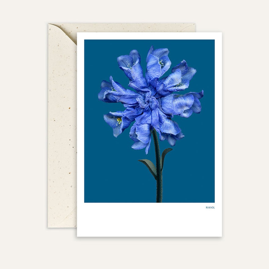 Kaart Flower Collega 04 | Monkshood