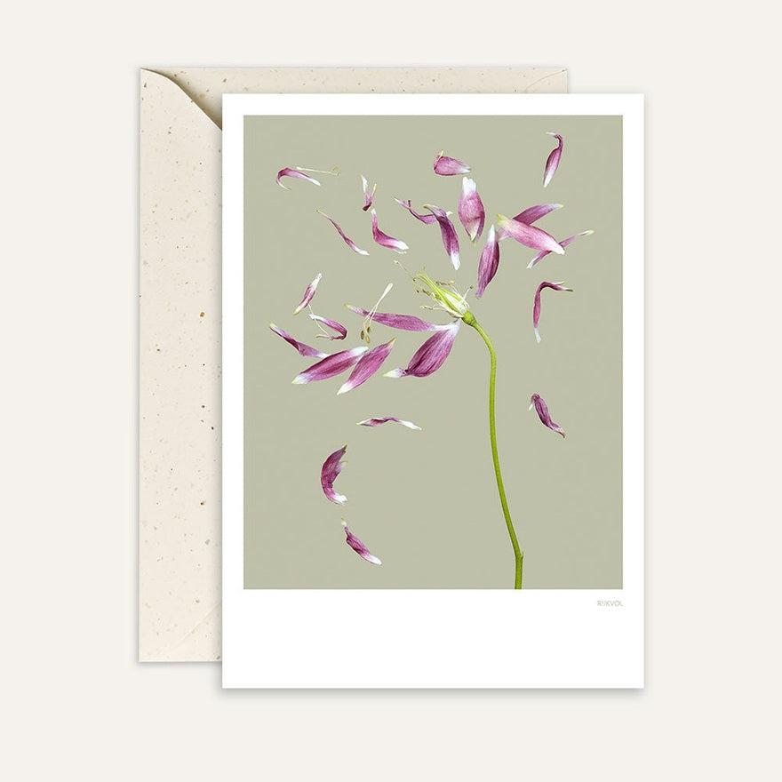 Kaart Petallove 03 | Green