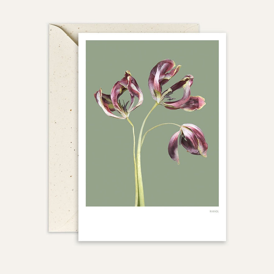 Kaart Tulip 04