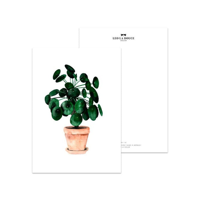 Card Pilea | An envelope