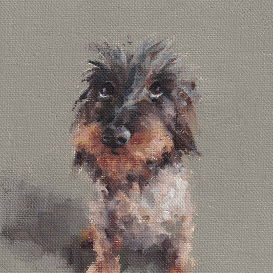 Kaart Sorry Long-Haired Dachshund