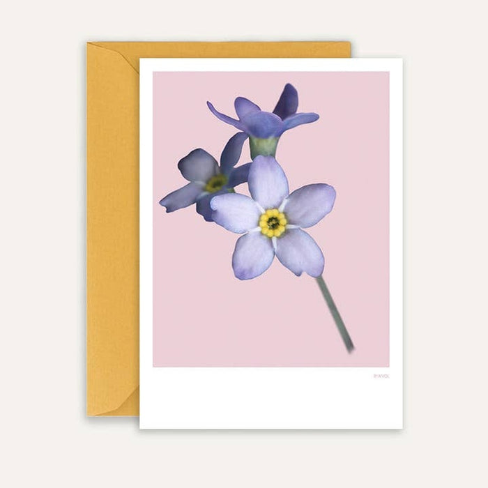 Card forget me not 02 | Rosestain