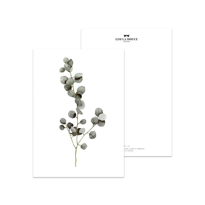 Postcard Eucalyptus | An envelope