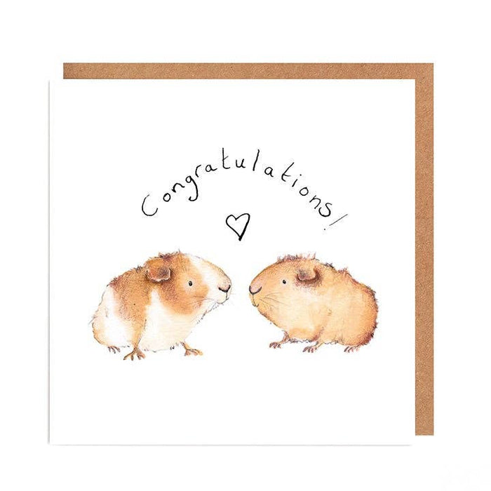 Card congratulations! | Gary & Carri Guinea Pigs