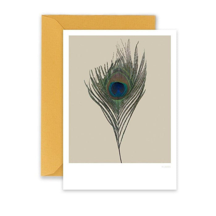 Card Peacock 01