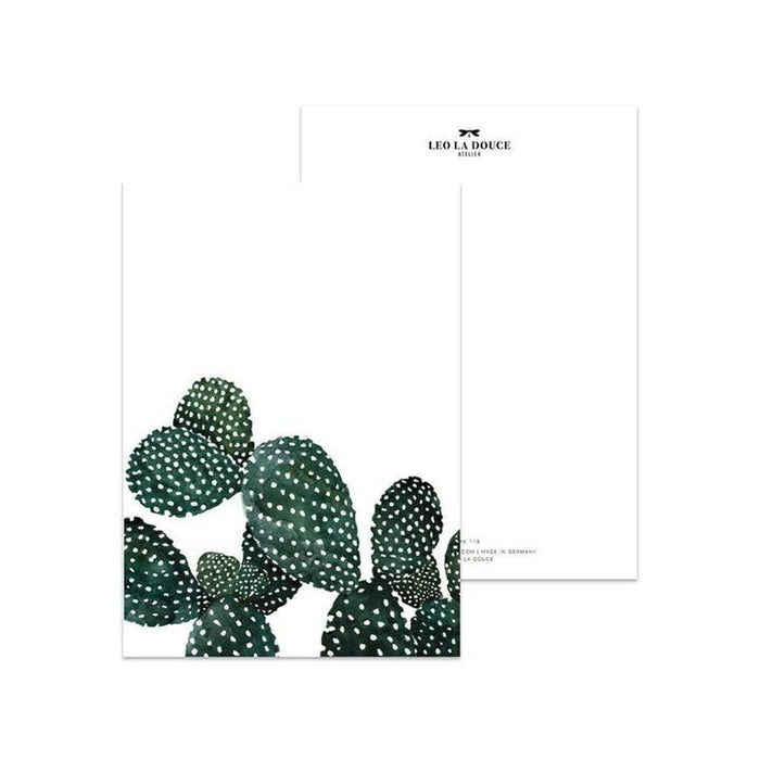 Postcard Cactus Family | An envelope