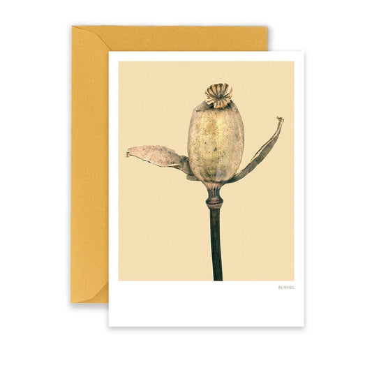 Kaart Poppy 01