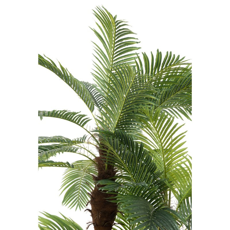 J-Line Palmboom 3D In Pot | Plastic Groen | 175x180x300cm