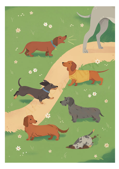 Map dachshunds