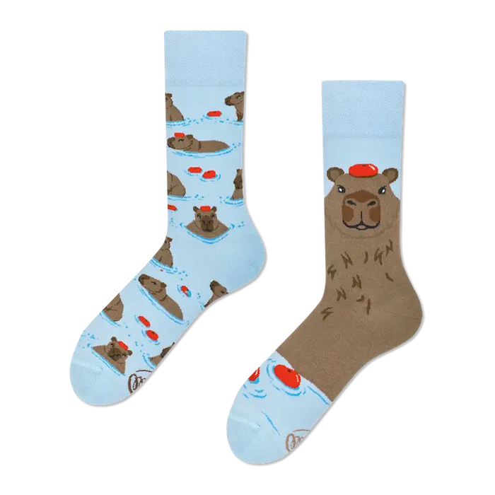 Many Mornings socks | CapyBara