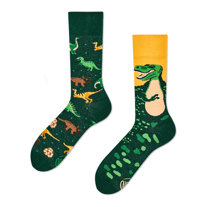 Many Mornings socks | The Dinosaurs
