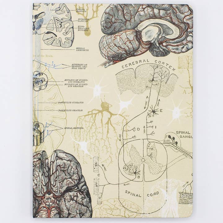Brain & Neuroscience Hardcover Notebook – Presenteum | De online winkel ...