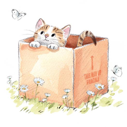 Kaart New Home | Cat