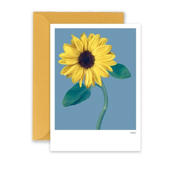 Card Sunflower