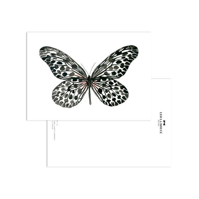 Map Black Butterfly