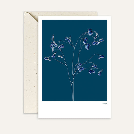 Kaart Grasses 01 | Blue