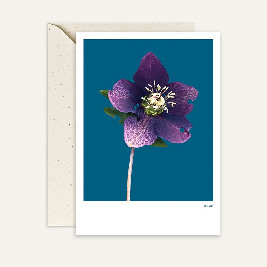 Kaart Hellebore 01