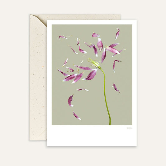 Kaart Petallove 03 | Green