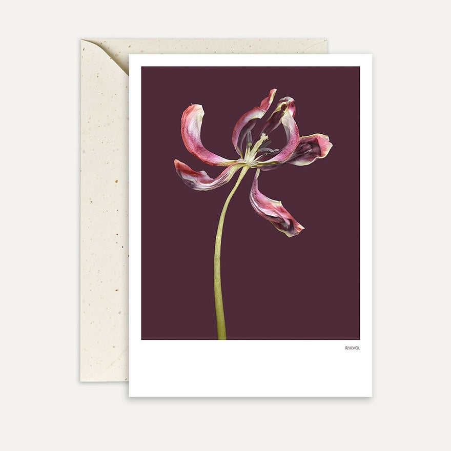 Kaart Tulip 03