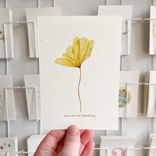 Kaart Succes Met De Behandeling