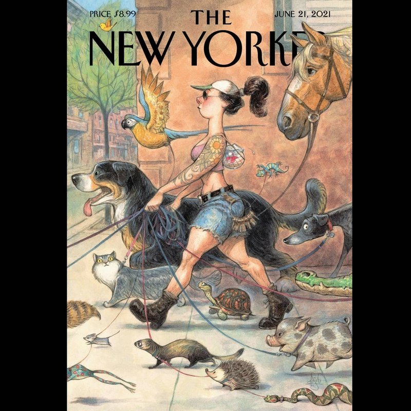 Kaart New Yorker Magazine | Div. Varianten