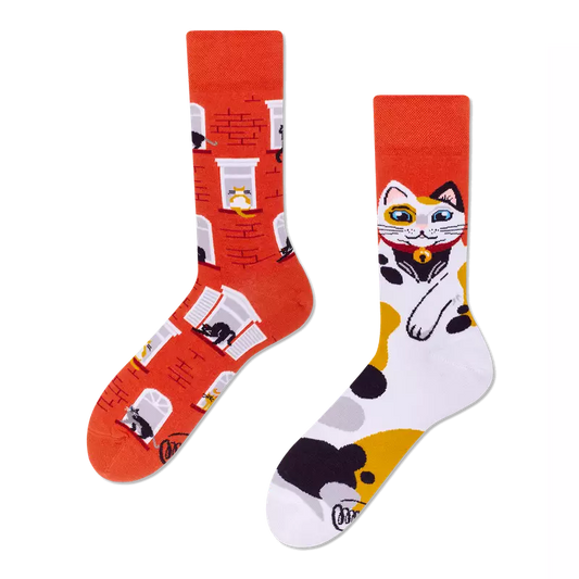 Many Mornings Sokken | City Cat