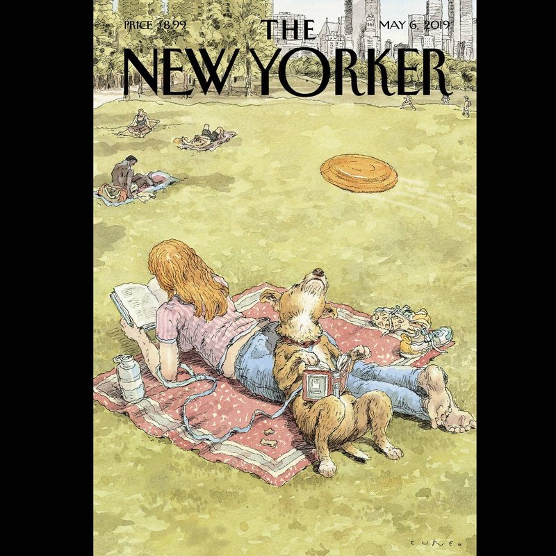 Kaart New Yorker Magazine | Div. Varianten