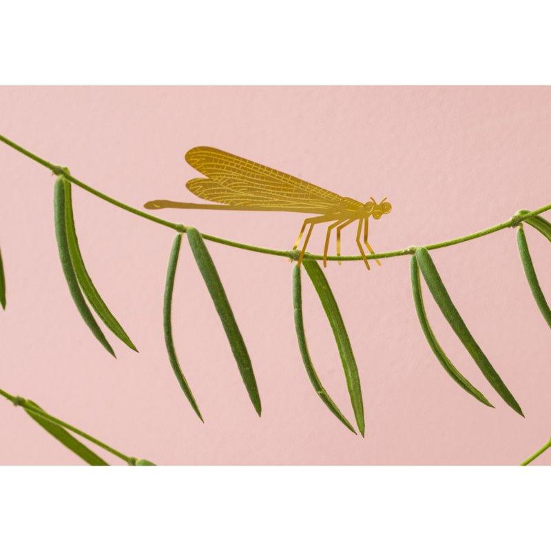 Planten diertje Damselfly